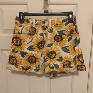 American Apparel Sunflower Shorts